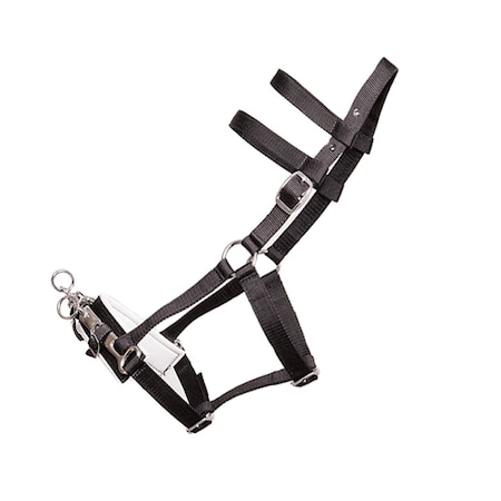 Jacks Imports Lunging Halter with Nylon Webbing BLACK 10418-BK